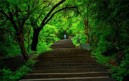 Enchanting Tamilnadu