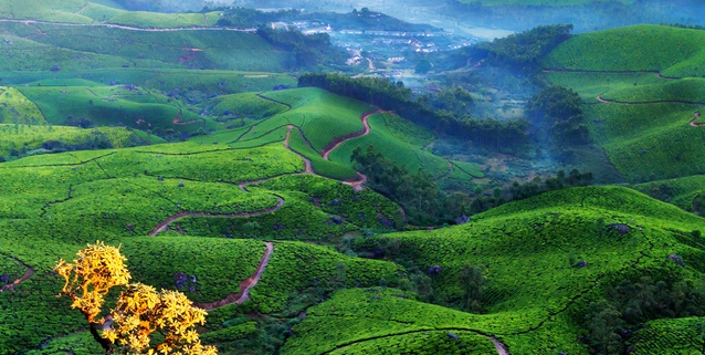 Explore Kerala